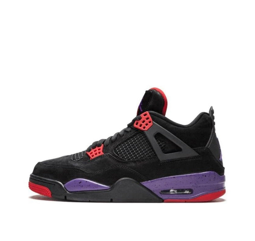 Air Jordan 4 Raptors