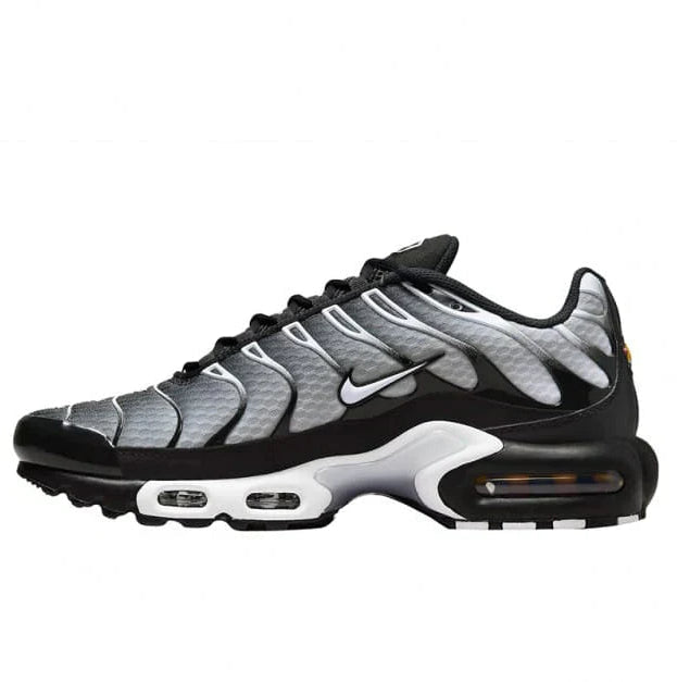 Nike Air Max Plus Smoke Fade