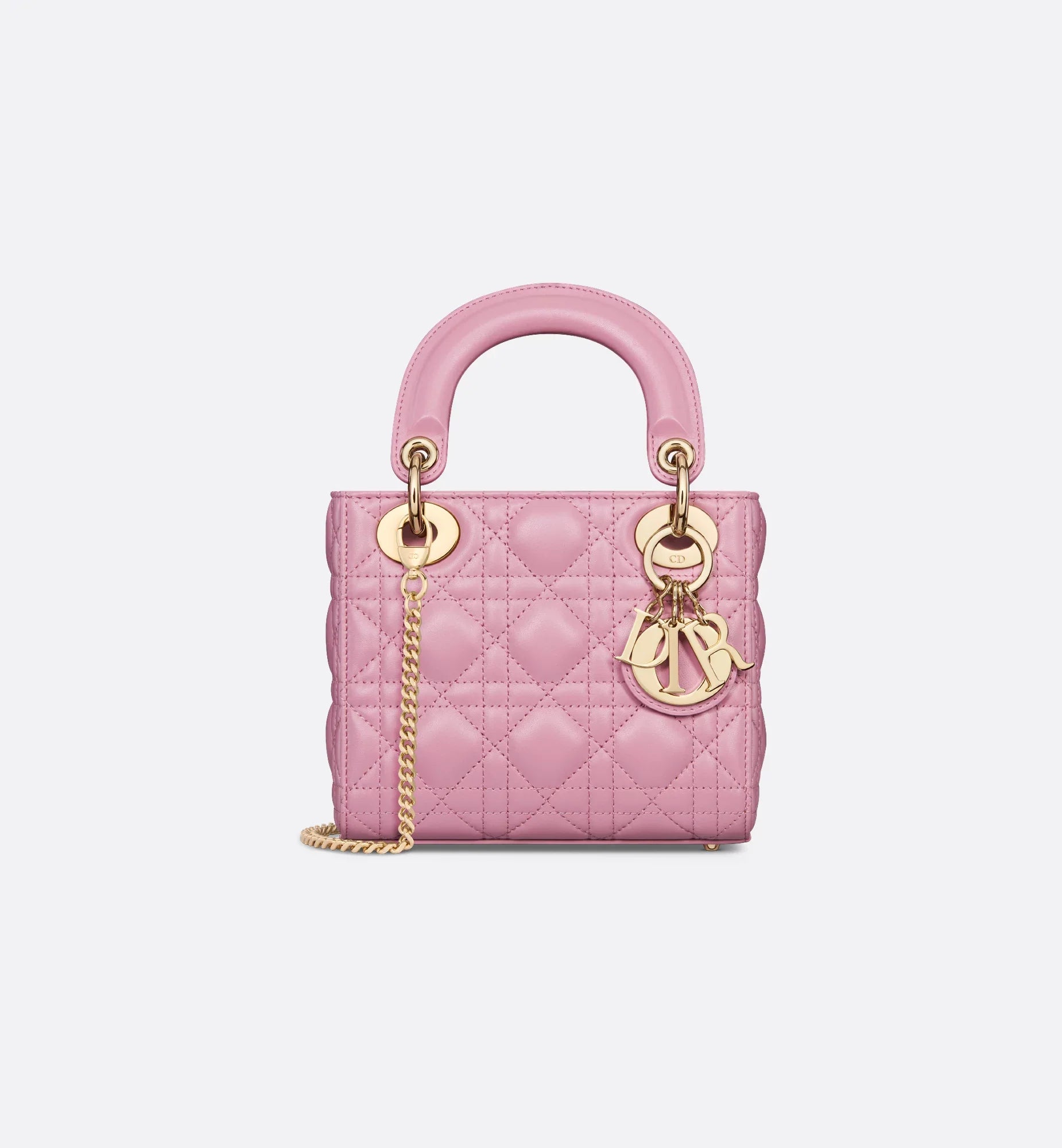 Mini Dioriviera Lady Dior Bag